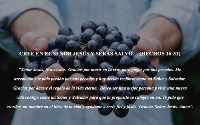 «Provisión Divina»